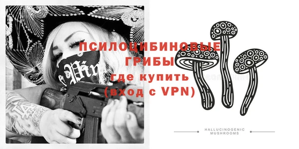 МДПВ Верхний Тагил