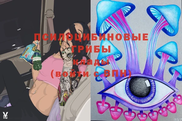 бошки Верея